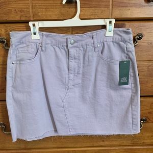 Wild Fable Lilac Skirt